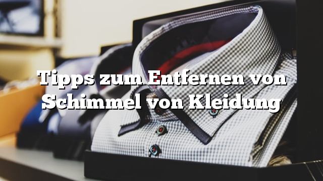 Tipps zum Entfernen von Schimmel von Kleidung