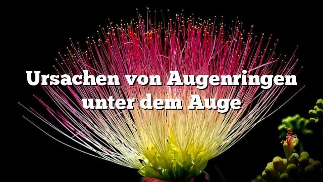 Ursachen von Augenringen unter dem Auge