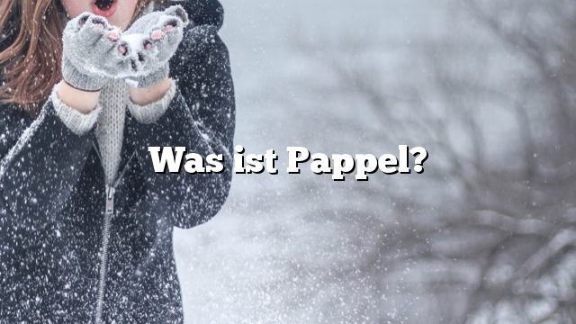 Was ist Pappel?