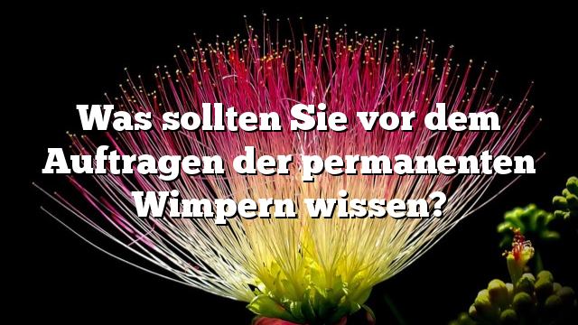 Was sollten Sie vor dem Auftragen der permanenten Wimpern wissen?