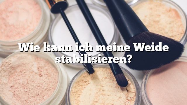 Wie kann ich meine Weide stabilisieren?