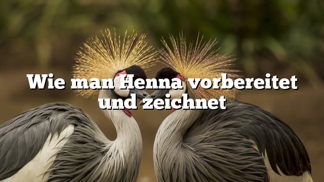 Wie man Henna vorbereitet und zeichnet